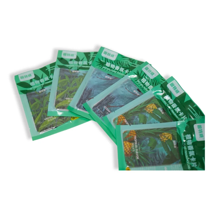 Tropical car air fresheners in retail packaging – assorted scents including pineapple, green tea, and cedar forest