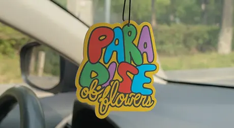 OEM hanging paper air freshener