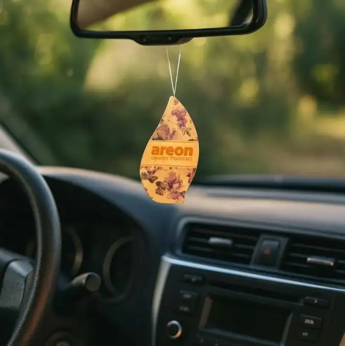 Car Odor Eliminator Air Freshener